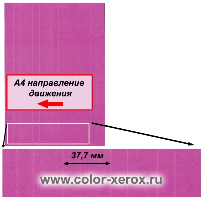 При Печати Фотографии Получаются Темные